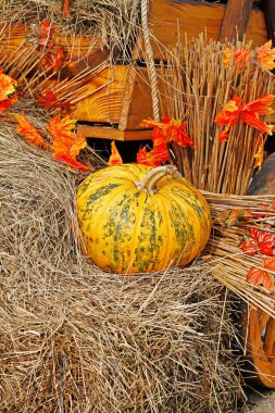 Pazar yeri, sonbahar dekorasyon olarak saman üzerinde kabak