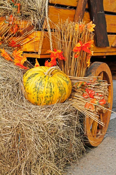 Calabaza en paja como decoración de otoño en el mercado —  Fotos de Stock