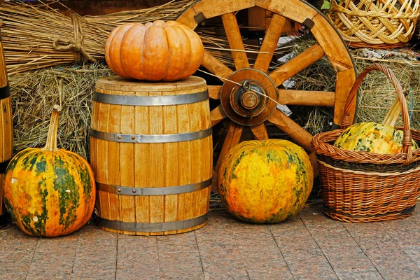 Calabazas como decoración de otoño en el mercado —  Fotos de Stock