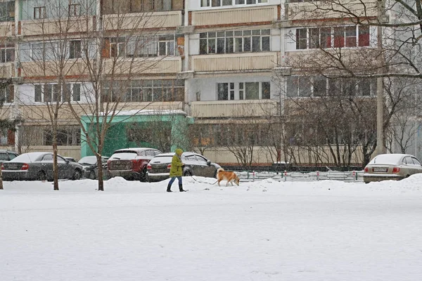 Femme promenant avec son chien dans la cour de Vidnoe — Photo