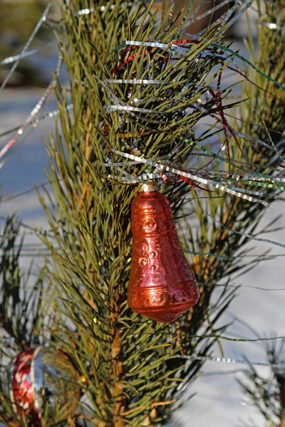 Christmas toy bell hanging on Christmas tree — Stock Photo, Image