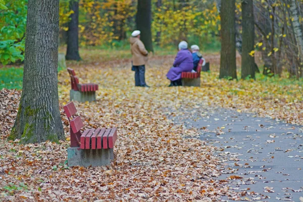 Viejos bancos de madera en el fondo de la gente caminando en el parque de otoño de la ciudad — Foto de Stock