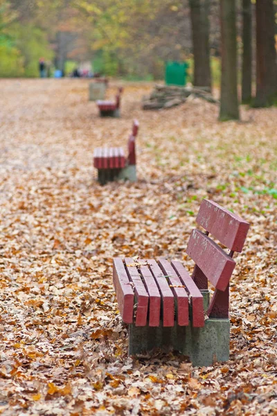Viejos bancos de madera en el parque de otoño . — Foto de Stock