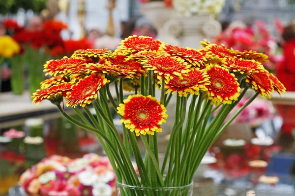 Ramo Hermosas Gerberas Rojo Amarillas Jarrón Gerbera Dalí — Foto de Stock