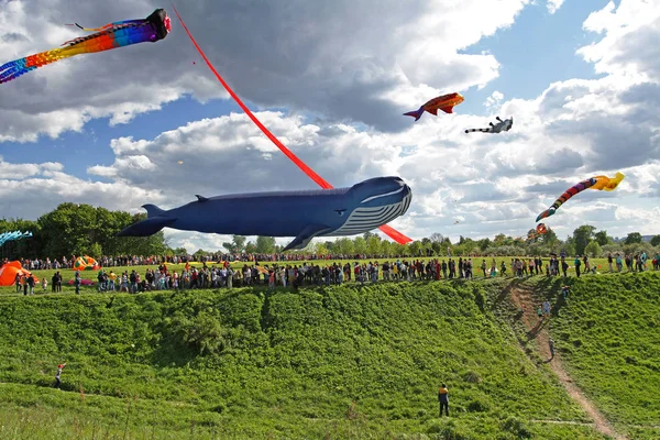 Moscow Oroszország 2017 Május Hatalmas Bálna Kite Kite Fesztivál Park — Stock Fotó
