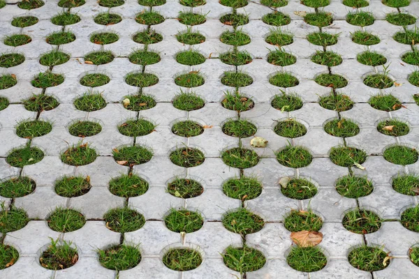 Estructura de suelo de hormigón y césped aparcamiento. — Foto de stock