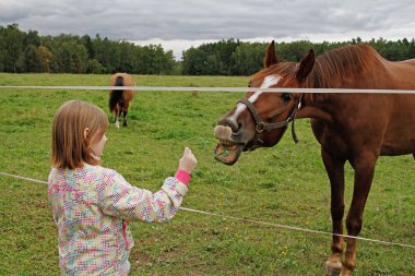 Leninskie Gorki, Moscow region, Rusya Federasyonu - 12 Eylül 2015: kız at Müzesi-rezerv Leninskie Gorki beslemeleri.