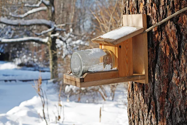 Self Made Bird Feeder Made Boards Glass Jar Hanging Tree — Stock Photo, Image