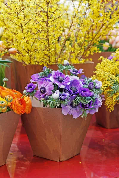 Blumensträuße Mit Schönen Anemonen Hahnenfuß Und Mimosen Papierblumentöpfen Auf Dem — Stockfoto