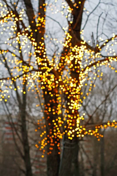 Unscharfer Baum Mit Goldenem Kranz Als Hintergrund — Stockfoto