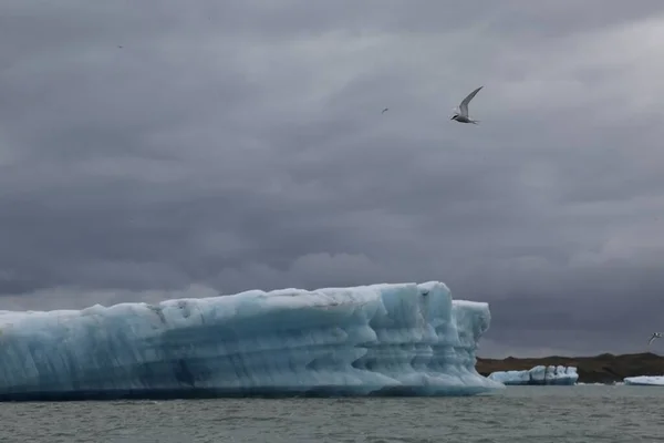 Лагуна Льодовика Півночі — стокове фото