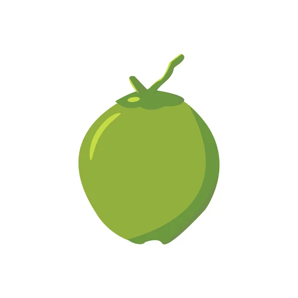 Hindistan Cevizi Meyve Vektörü Grafik Tasarım Logo Web Sitesi Sosyal — Stok Vektör