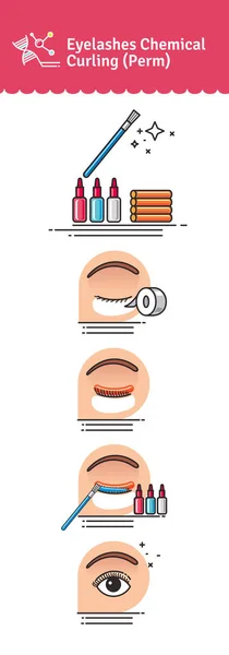 Vector Illustrated instellen met salon wimpers chemische curling — Stockvector