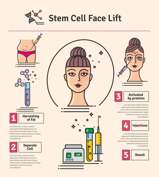 Vector Conjunto ilustrado con lifting facial de células madre de cosmetología — Archivo Imágenes Vectoriales