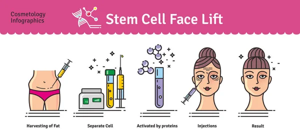 Vector Illustrated set with cosmetology stem cell facelift — Stock Vector