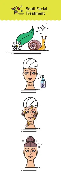 Vector Conjunto ilustrado con tratamiento facial de caracol de salón — Vector de stock