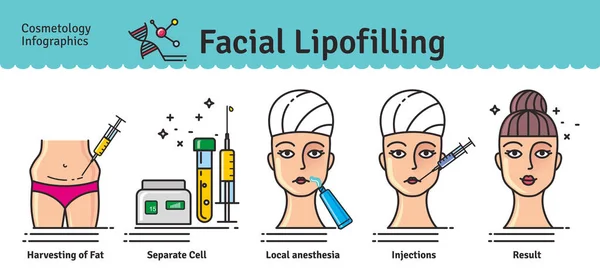 Vector Conjunto ilustrado con lipofilling facial de cosmetología — Archivo Imágenes Vectoriales