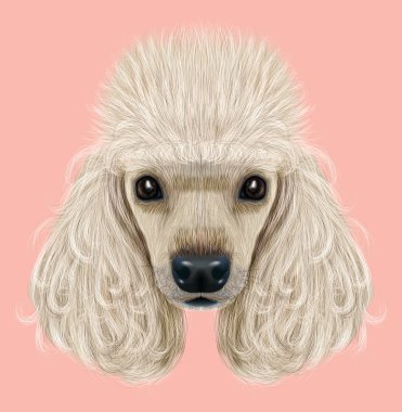 Resimli portre kaniş köpek