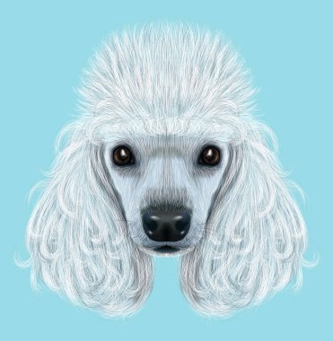 Resimli portre kaniş köpek