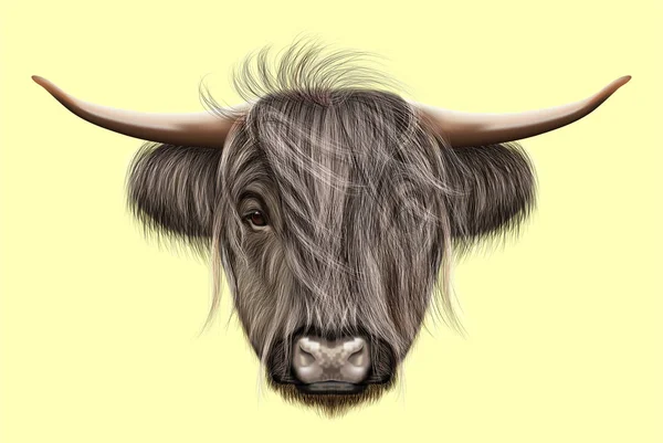 Illustrated portrait of Highland cattle — Stock Photo, Image