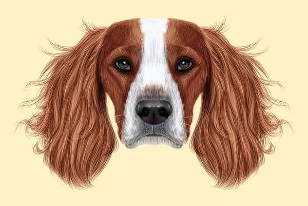 Ilustrowane portret angielski Springer Spaniel pies — Zdjęcie stockowe
