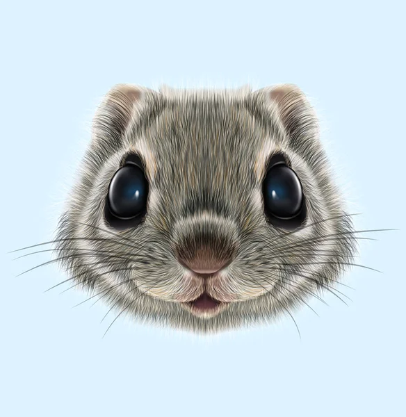 Geïllustreerde portret van vliegende eekhoorn — Stockfoto