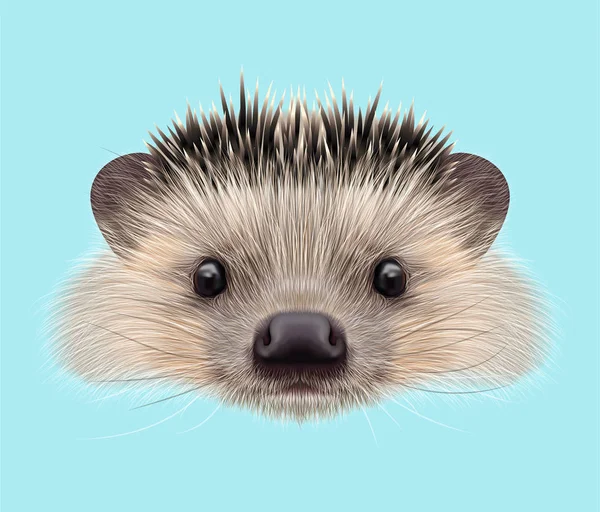 Geïllustreerde portret van Hedgehog — Stockfoto
