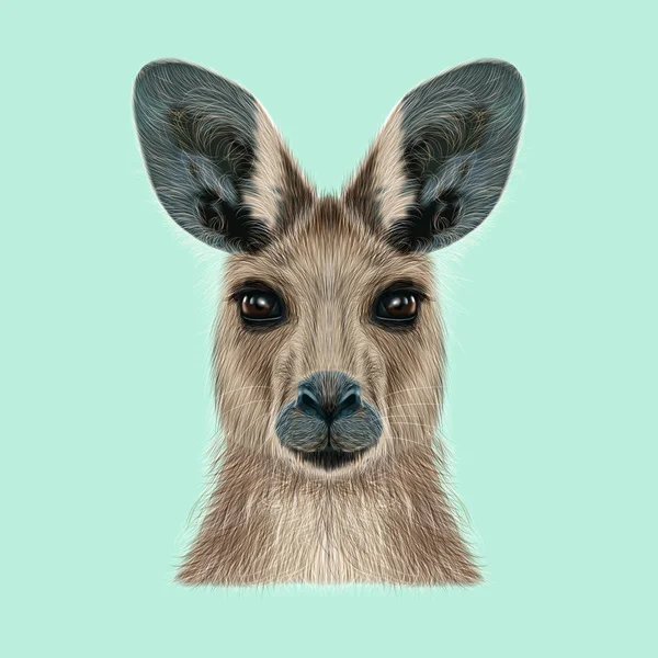 Иллюстрированный портрет кенгуру — стоковое фото