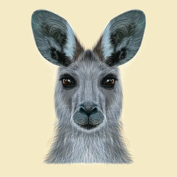 Ritratto illustrato del canguro — Foto Stock