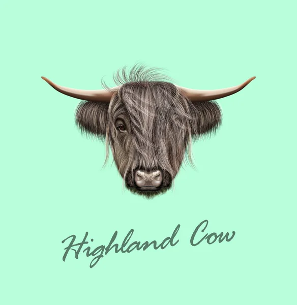 Vector illustrerad porträtt av Highland cattle. — Stock vektor