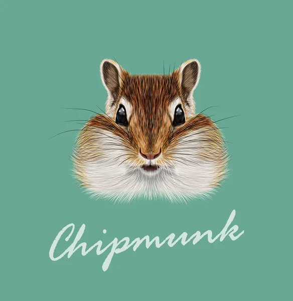 Vector Illustrated portrait of Chipmunk. — Stock Vector