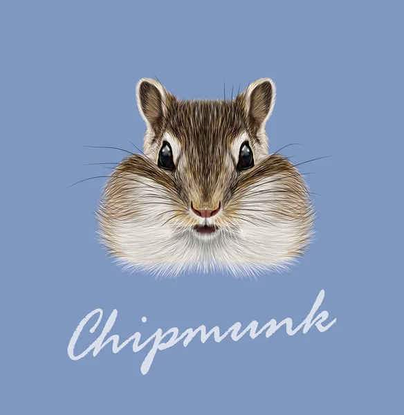 Vector Illustrated portrait of Chipmunk — Stock Vector