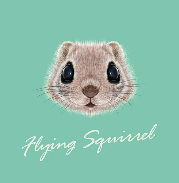 Wektor Illustrated portret latająca wiewiórka — Wektor stockowy