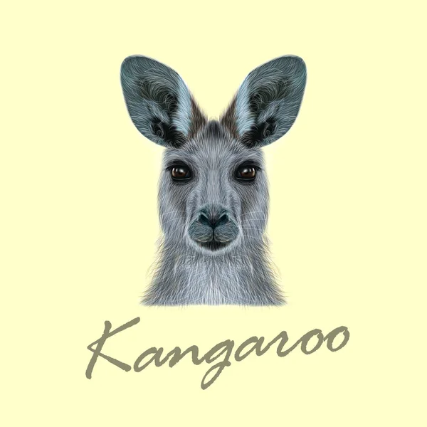 Vecteur Portrait illustré de Kangourou — Image vectorielle