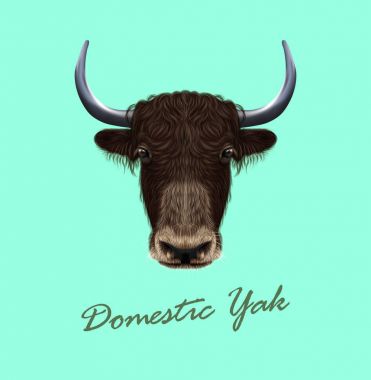Vektör yerli yak Illustrated portresi