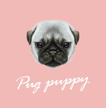 Pug köpek yavrusu vektör Illustrated portresi