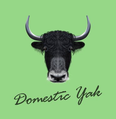 Vektör yerli yak Illustrated portresi