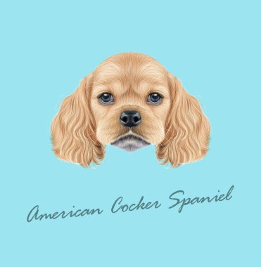 Amerikan Cocker Spaniel köpek yavrusu portresi Illustrated vektör
