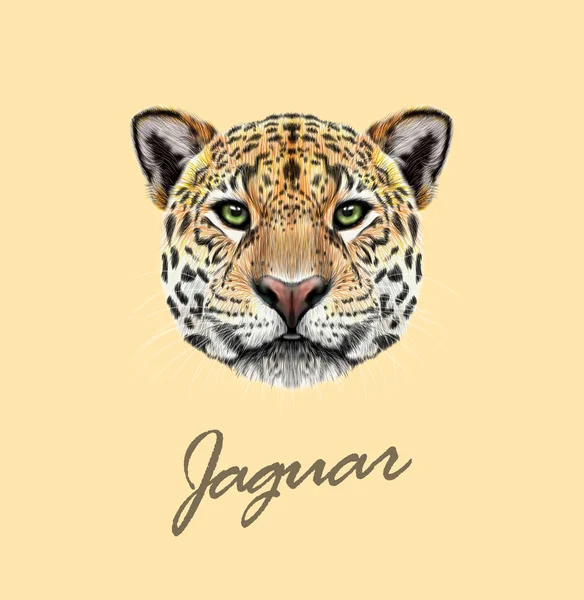 Vetor Retrato ilustrado de Jaguar —  Vetores de Stock