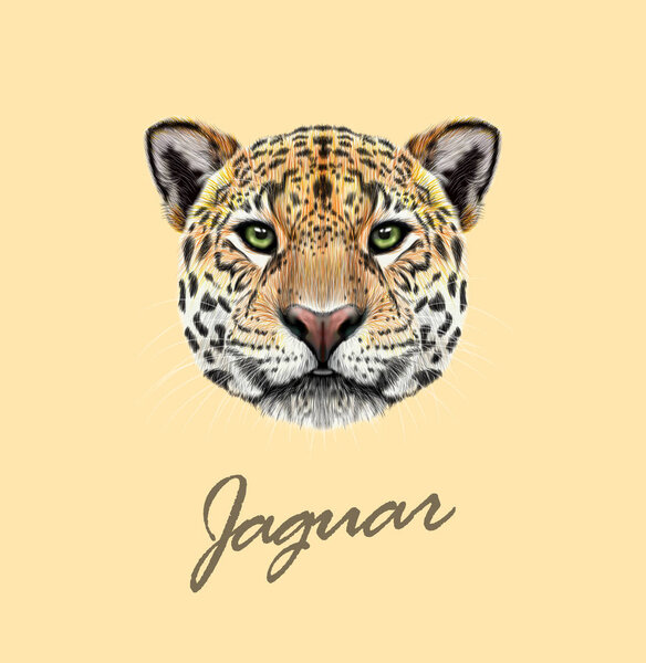 Vector Illustrated portrait of Jaguar