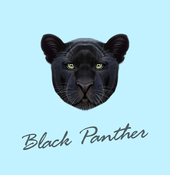 Vector Illustrated portrait of Black panther — Stock Vector