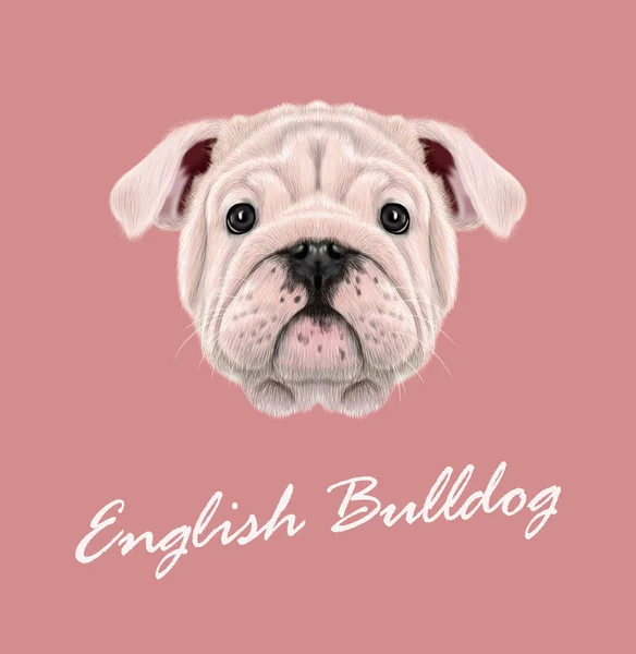 Bulldog Bebe Ingles Vectores Graficos Imagenes Vectoriales Depositphotos Bulldog Bebe Ingles Vectores Graficos Imagenes Vectoriales Depositphotos