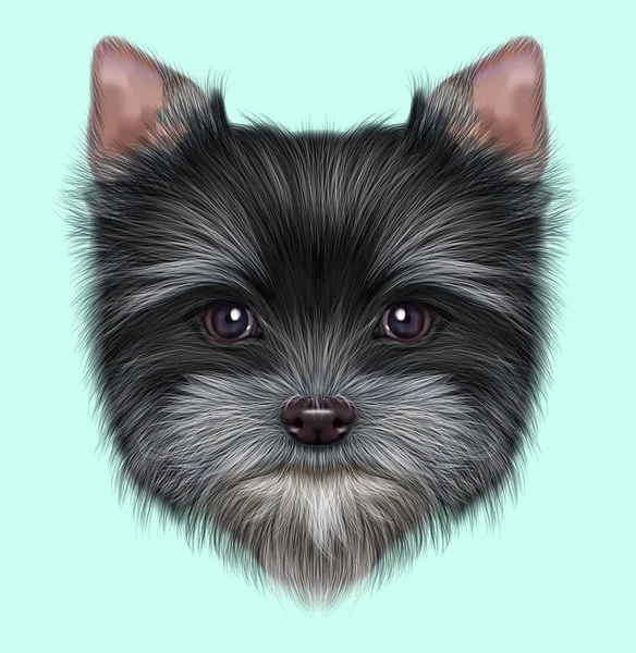 Illustrerade porträtt av Yorkshire Terrier valp — Stockfoto