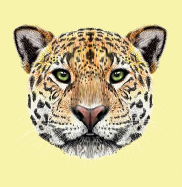 Jaguar resimli portresi