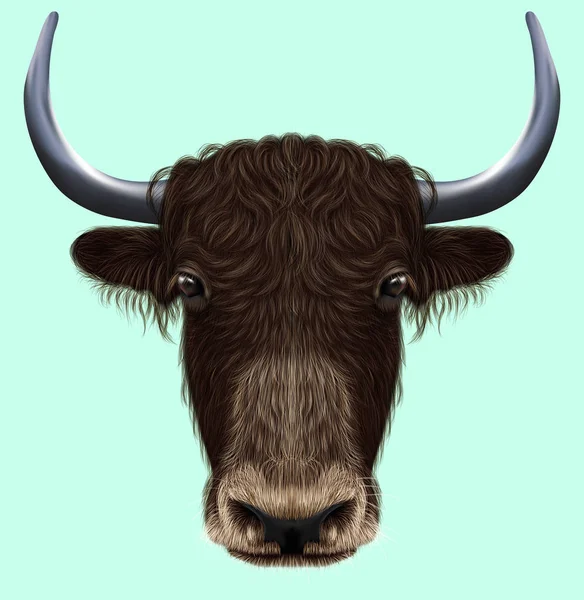 Ilustrovaný portrét domácích yak — Stock fotografie
