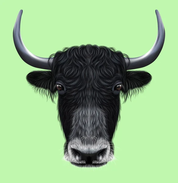 Illustrated portrait of Domestic yak — Stock Photo, Image