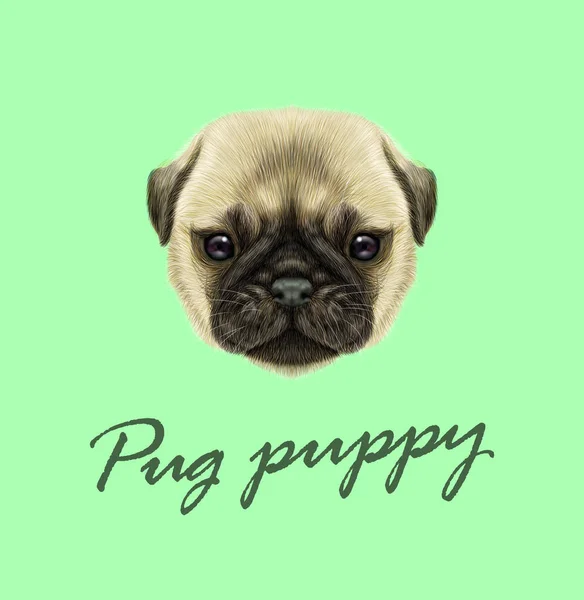 Wektor Illustrated portret Pug Puppy — Wektor stockowy