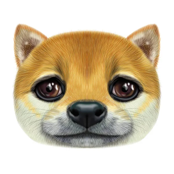 Illustrated portrait of Shiba Inu Dog. — Stock Photo, Image