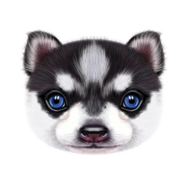 Geïllustreerde portret van Husky Puppy. — Stockfoto