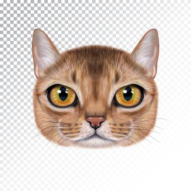 stock vector